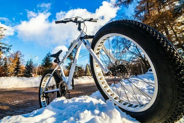 Какая цена зимней. Зимние велики. Велик для зимы. Зимний велосипед с большими колесами. Большие зимние колеса на велик.