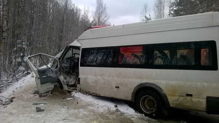 Погода в апраксине ленинградской на неделю