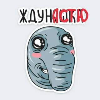 Стикер жду