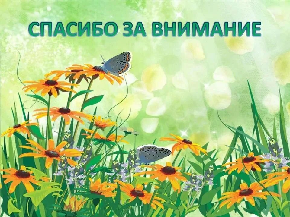 Природа биология. Биология летом. Сезонные изменения в жизни растений. Природа и животные. Урок биологии 5 класс.