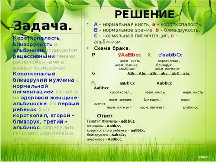 Генотип aabbcc