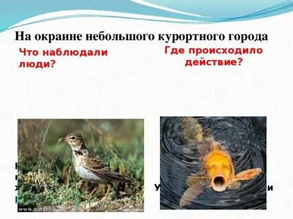 Жаворонок и рыбки
