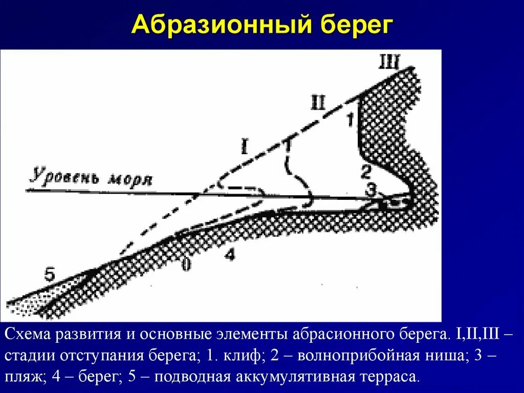 Абразионный берег схема. Элементы абразионного берега. Схема развития и основные элементы абразионного берега. Абразия берегов схема.