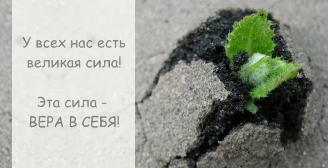 Сил ни на что другое. Верь в себя и свои силы. Вера в себя. Вера в себя цитаты. Верь в себя верь в свои силы.