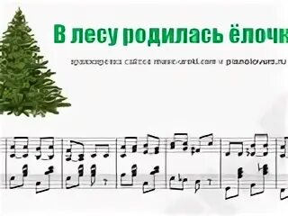 В лесу родись елочка ноты