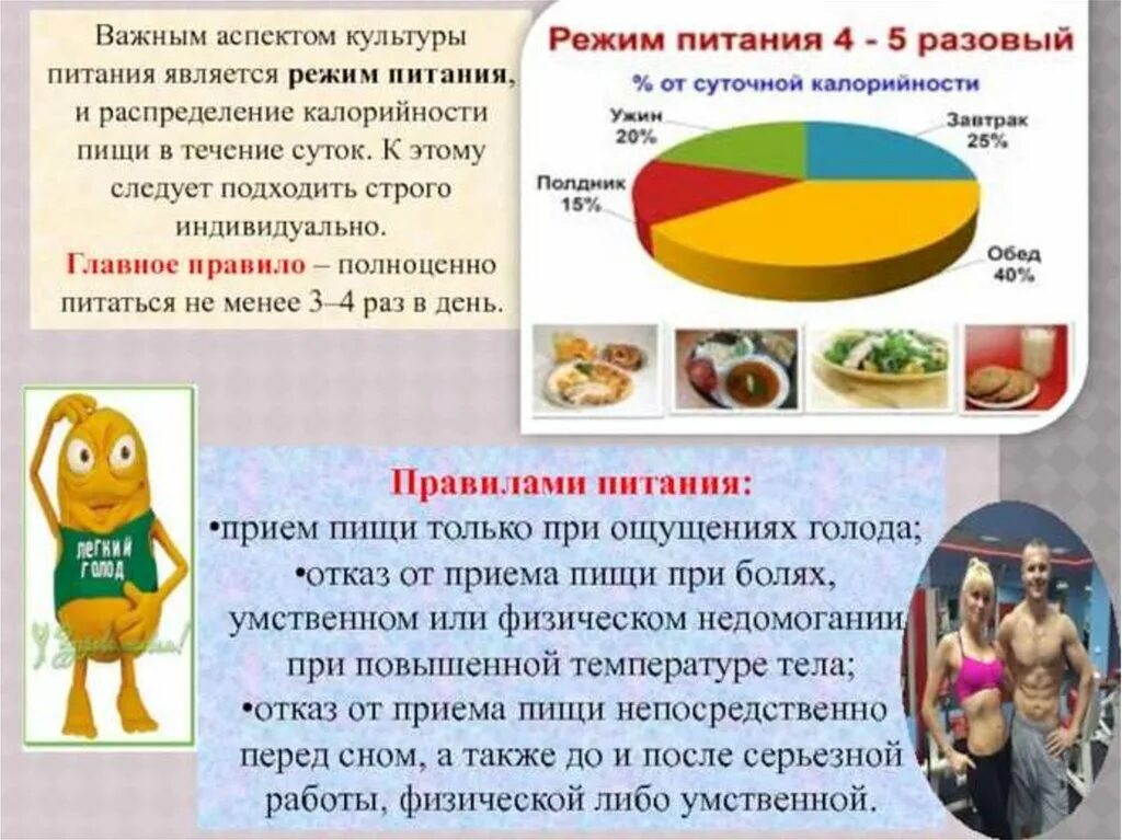 Распределение пищи в течении дня