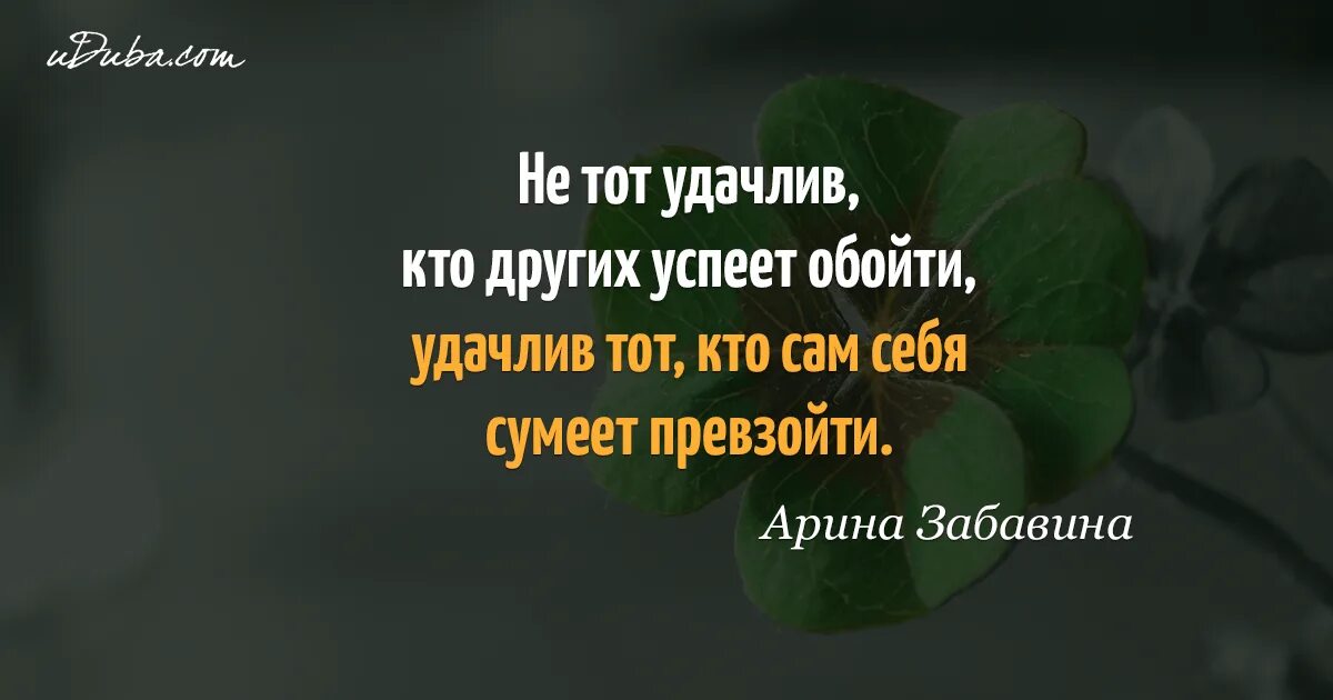 Фразы про удачу. Цитаты про удачу. Цитаты про везение. Цитаты про удачу и везение. Афоризмы про везение.