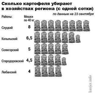 Сколько картофеля в сотке