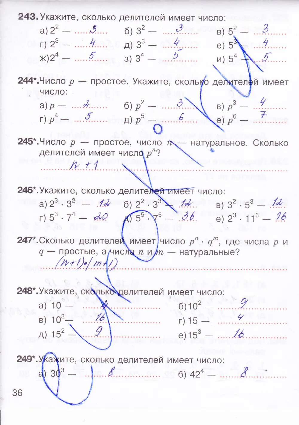 Математика 5 класс рабочая тетрадь 2 часть Потапов Шевкин. Математика 5 класс рабочая тетрадь Потапов Шевкин. Рабочая тетрадь по математике 5 класс Потапов и Шевкин. Математика 5 класса 1 часть шевкин