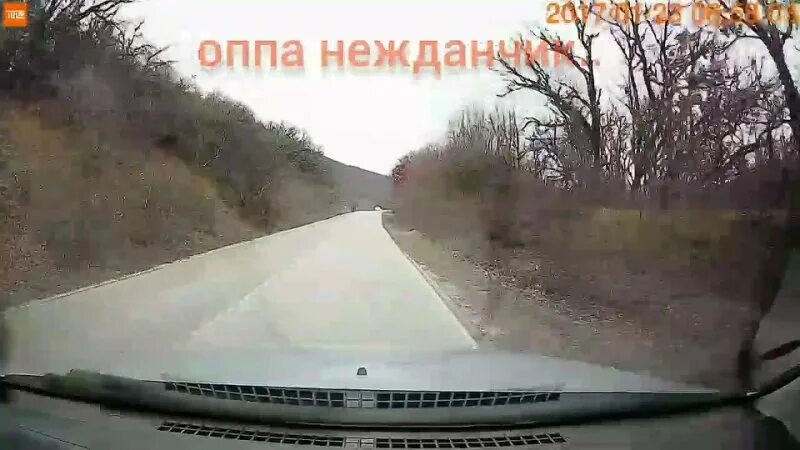 Судак солнечная долина автобус. Авария в Судаке Солнечная Долина. Судак Солнечная Долина Ледовый зал. Судак Солнечный 16.