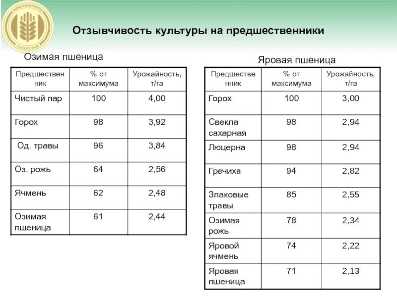 Лучший предшественник для озимой. Предшественники озимой пшеницы. предшественники яровой пшеницы. лучшие предшественники для озимой пшеницы. лучший предшественник для озимой пшеницы.