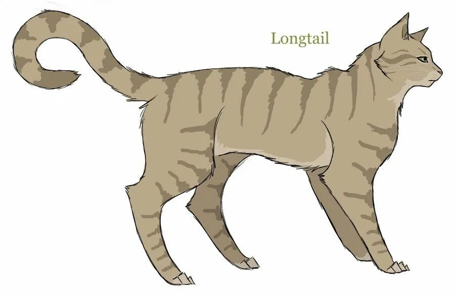 Longtail коты Воители. Коты Воители Долгохвост серый. Warrior Cats Longtail. Long Tail Warrior Cats. Cats long tails