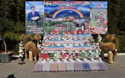 Иди мехргон