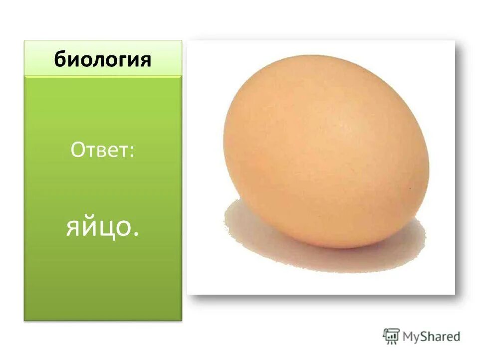 Яйцо крыльцо лицо яйцо ответ. Яйцо крыльцо лицо яйцо ответ. Слова заканчивающиеся на цо. Лицо яйцо кольцо крыльцо. Загадка 15 лет 5 слов лицо яйцо крыльцо кольцо ответ.