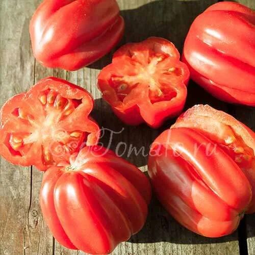 Томат roman striped (римский полосатый). Томат карамель медовая седек. Томат шоколадный мармелад. Томат карамель софии. Семена томата римский полосатый.