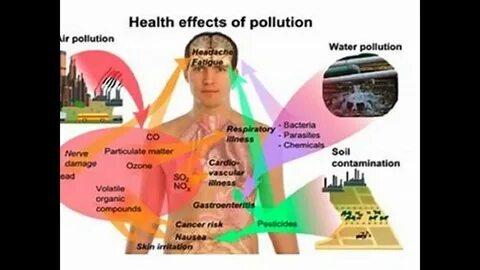 Human pollution
