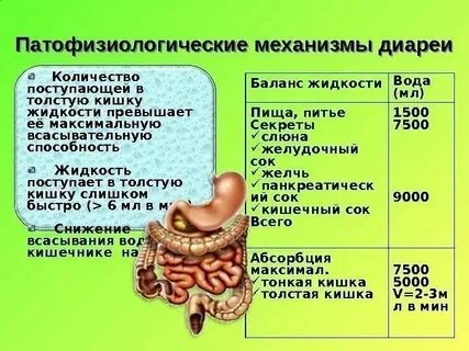 Какой сок в кишечнике