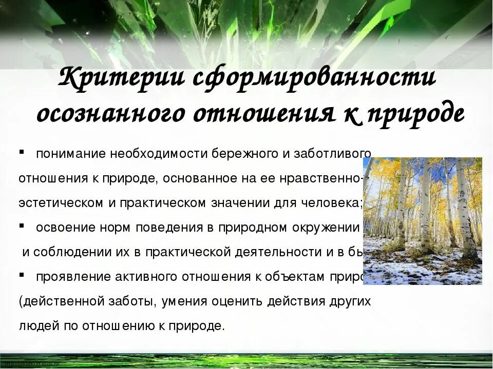 Бережное отношение к природе. Бережного отношения к природе. Бережное отношение к природе презентация. Примеры бережного отношения к природе. Написать о бережном отношении к природе