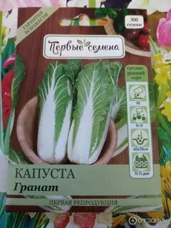 Капуста пекинская шанхай