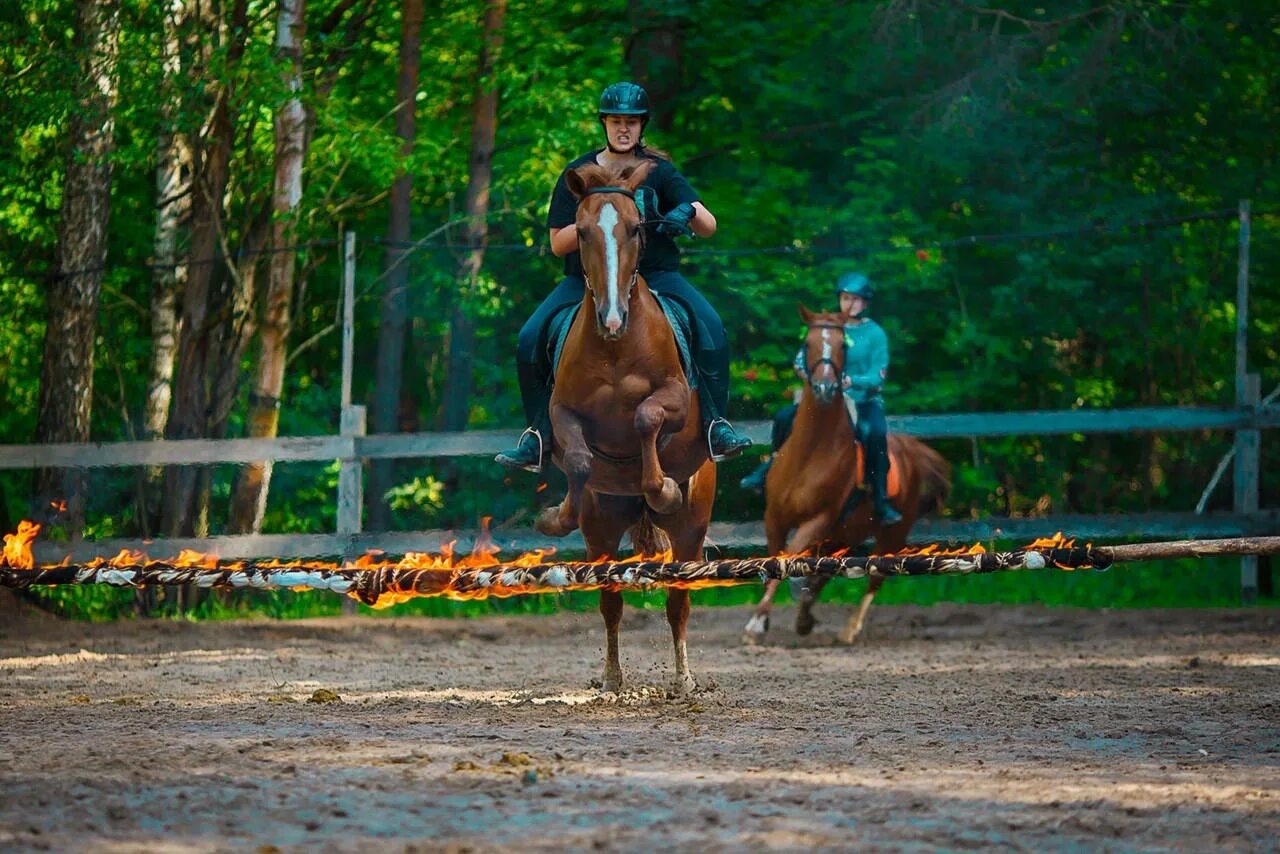 Riding camp. Конный лагерь Робин Гуд. Лошади в лагере Робин Гуд. Робин Гуд лагерь верховая езда.