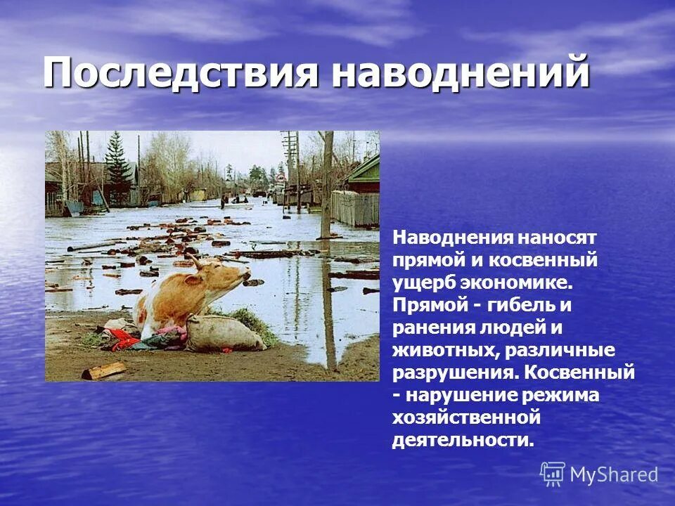 Наводнение барсуковская 2002. Последствия наводнений обж. Какие тяжелые последствия в результате наводнения. Описание наводнения. Наводнение в иркутске 2001.