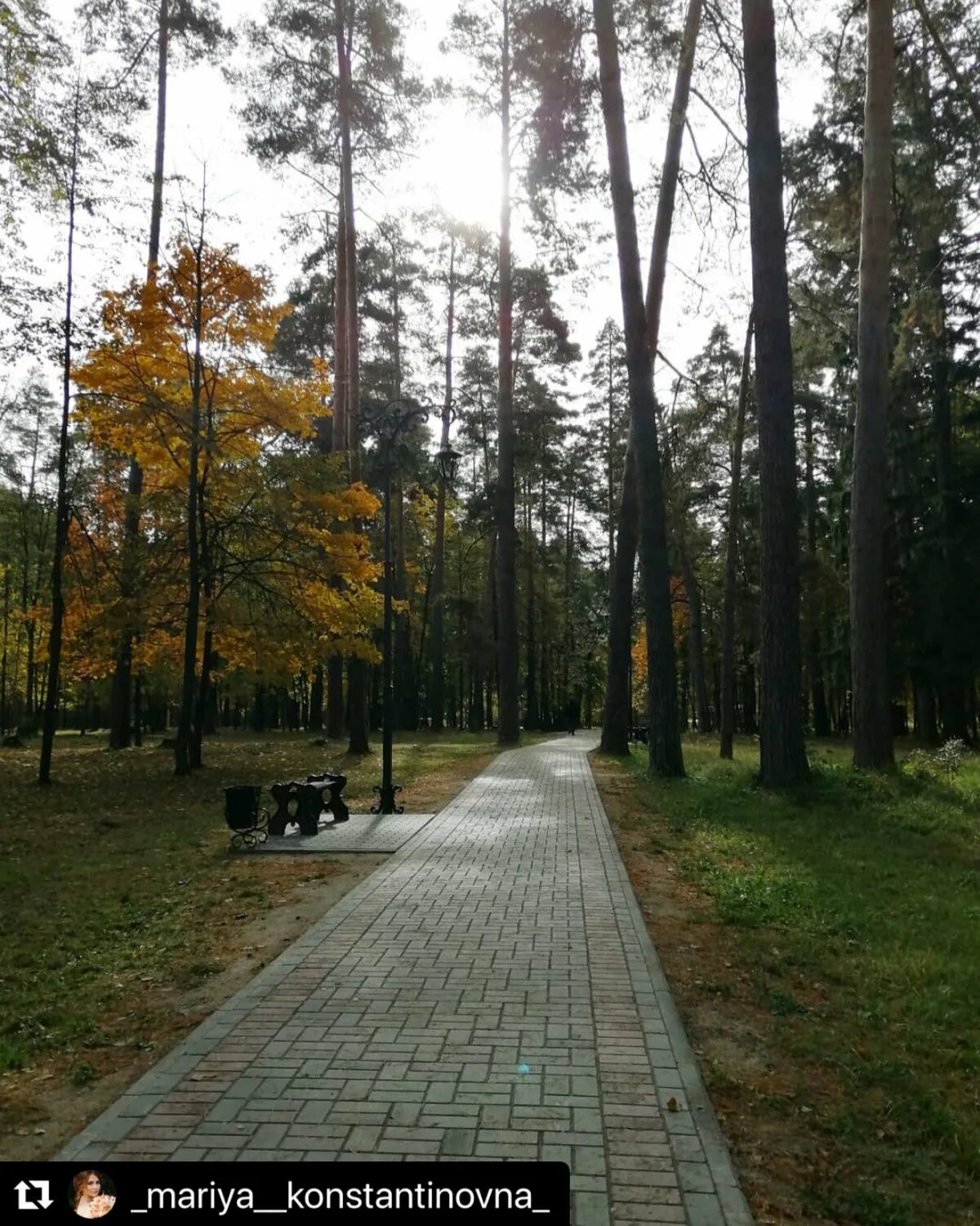 Культура города выкса. Парк города Выкса Нижегородская. Шуховский парк Выкса. Парк Выкса Центральная аллея. Выкса парк Лебединка.