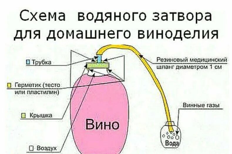 Как приготовить вино. Схема домашнего вина. Водяной затвор для вина схема. Вино водяной затвор домашнее. Приготовление вина из винограда.