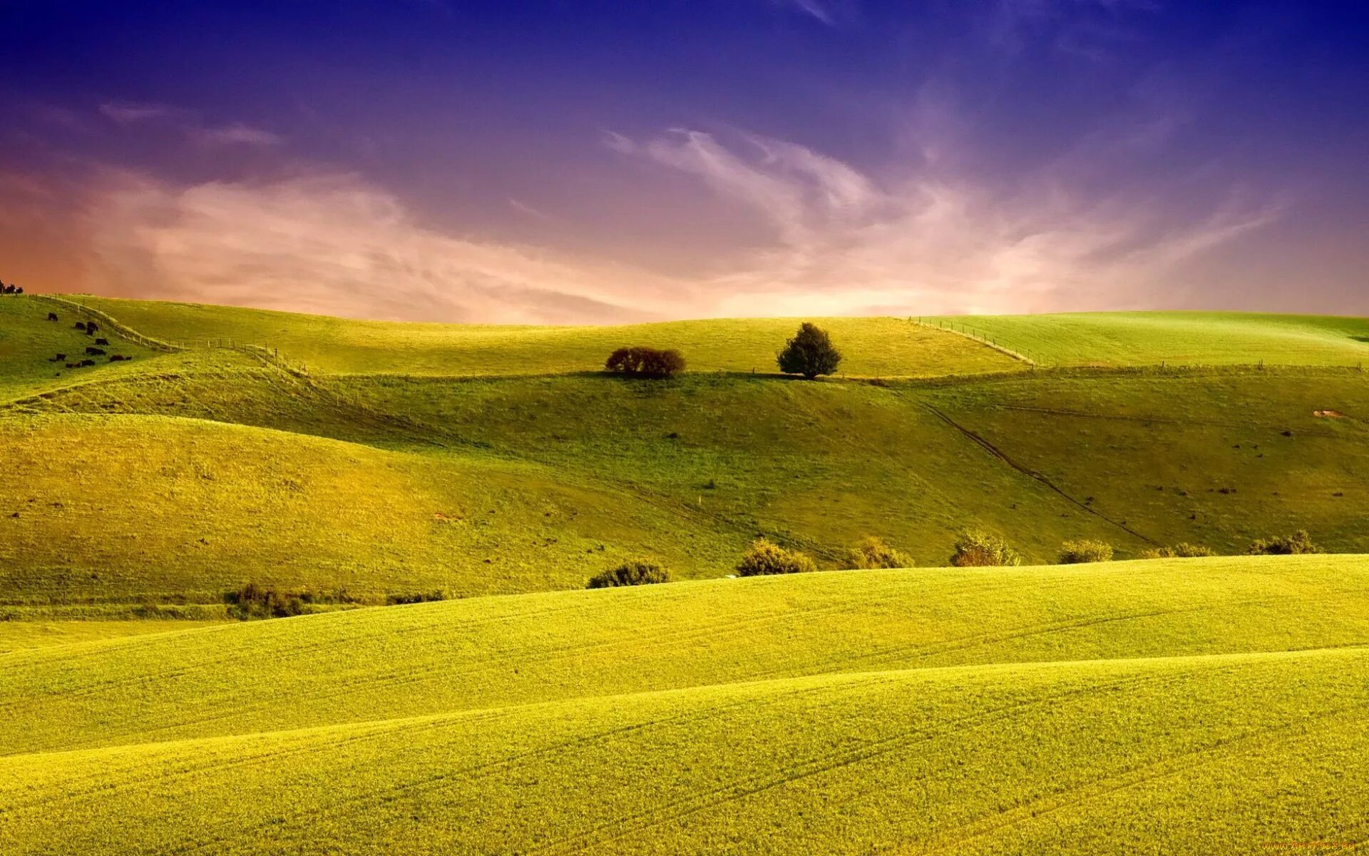Green Hills зеленые холмы. Холмистая равнина Тоскана. Холмистый пейзаж. Пейзаж холмы. Холм живая природа