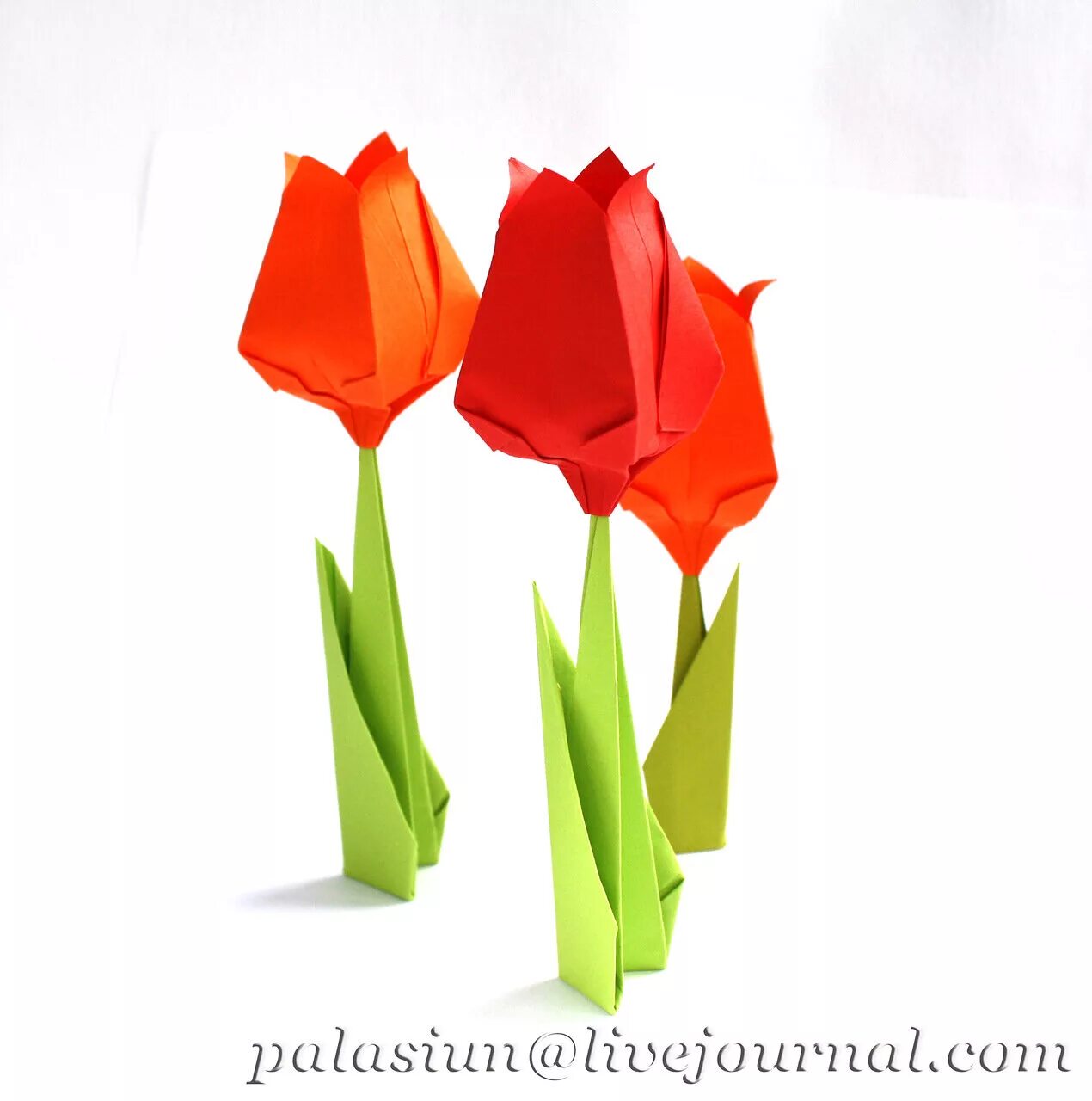 Объемные тюльпаны. Бумажный тюльпан. Объемные тюльпаны из бумаги. Тюльпаны из цветной бумаги.