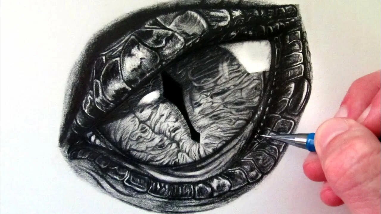 Dragon eye перевод. Глаз дракона. Глаз рептилии эскиз. Глаз дракона рисунок. Нарисовать глаз дракона.
