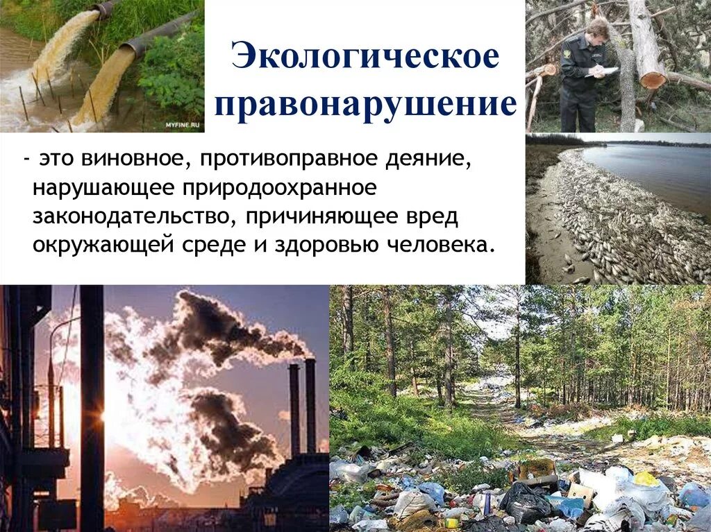 Виды ущерба окружающей среде. Экологические правонарушения. Понятие экологических преступлений. Экологическая преступность.