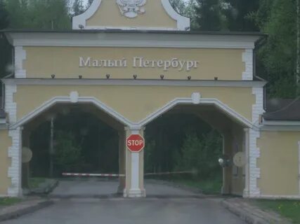 Ржевка корнево