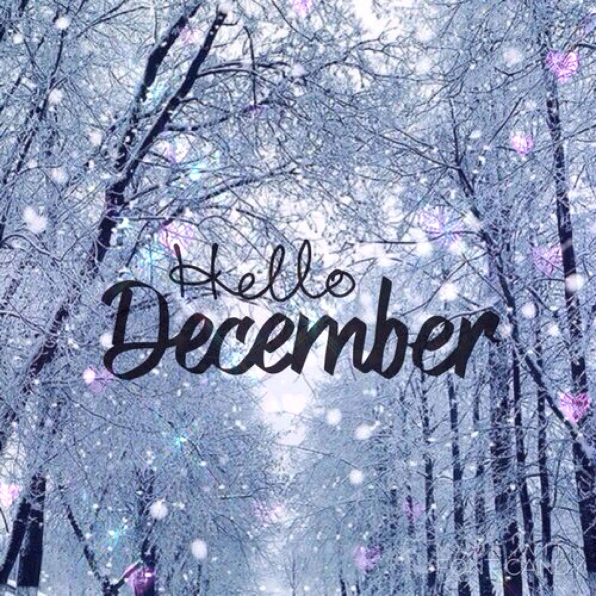 Привет декабрь. Зима надпись. Декабрь надпись. Привет декабрь привет зима. Декабрь на английском языке