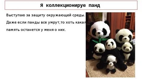 Panda текст