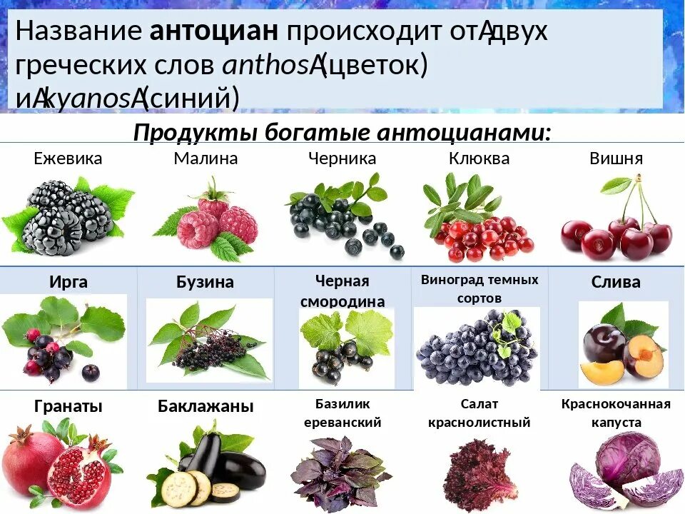 Ягоды названия. Название разных ягод. Продукты богатые антоцианами. Ягоды которые едят.. Содержится в ягодах и фруктах