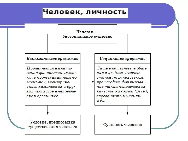 В чем проявляются социальные различия в обществе - Telegraph