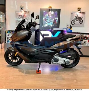 Regulmoto element 300