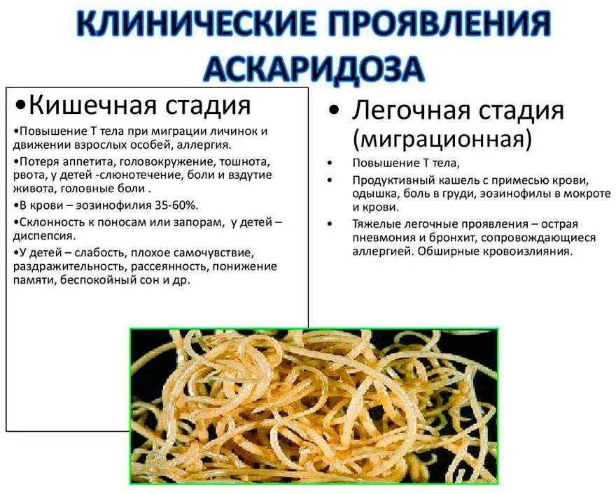 Глисты симптомы как определить. Аскарида человеческая название болезни. гельминты и аскариды симптомы у детей. симптомы заражения аскаридозом. клинические симптомы аскаридоза.