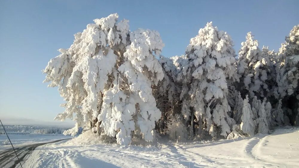 Тест природа сибири. Сибирские красоты. Февраль природа Кавказа. Сибирская природа Суровов. 13 Февраля природа фото.