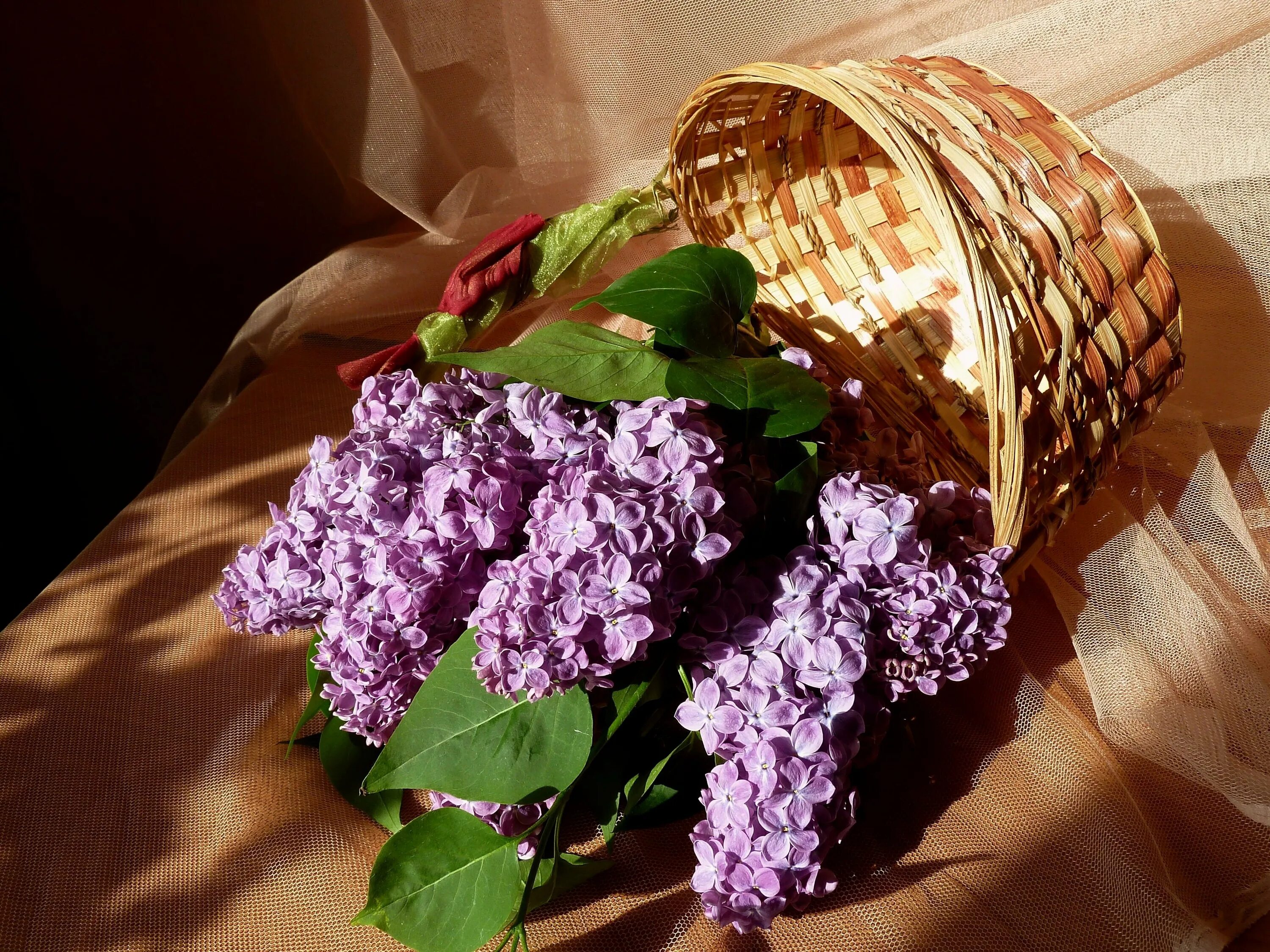 Корзинка сирени. Композиция с сиренью. Букет сирени. Красивый букет сирени. Цветочная композиция с сиренью.