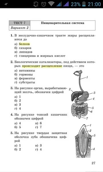 Тест по теме пищеварение 8. Тест по пищеварительной системе. Тест 7 пищеварительная система. Пищеварительная система вариант 2. Тест по биологии по пищеварительной системе.