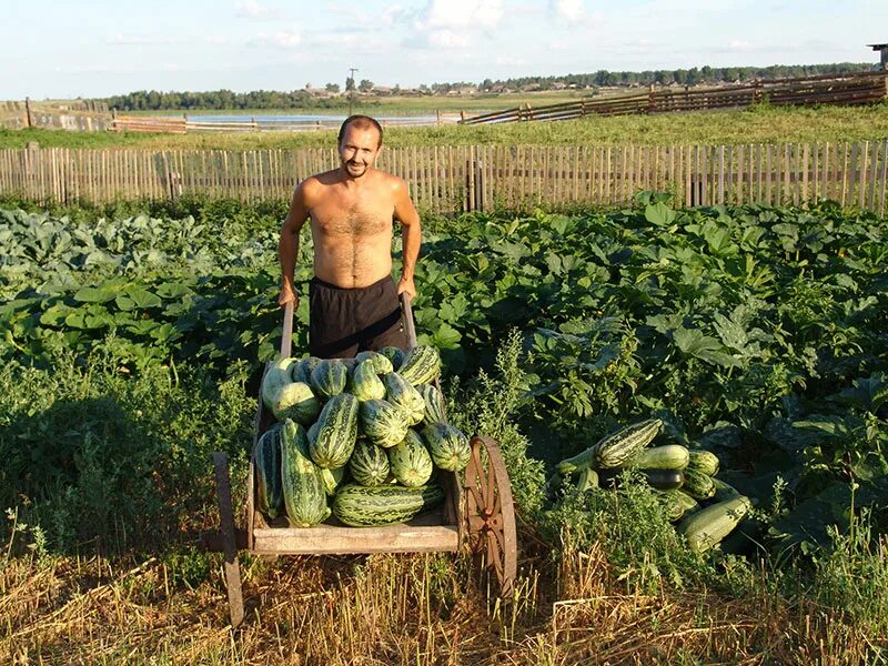 Переехать в деревню с предоставлением. Переехал в деревню. Перебрались из города в деревню. Уехать в деревню.