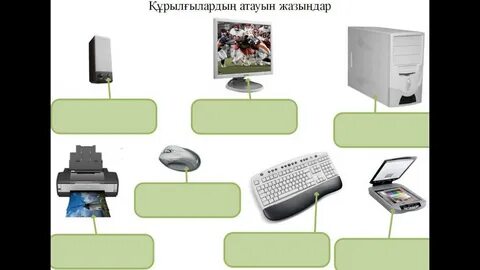 Litva ayol bilan jinsiy aloqa