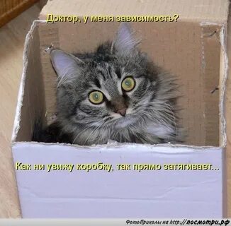 Опять дети