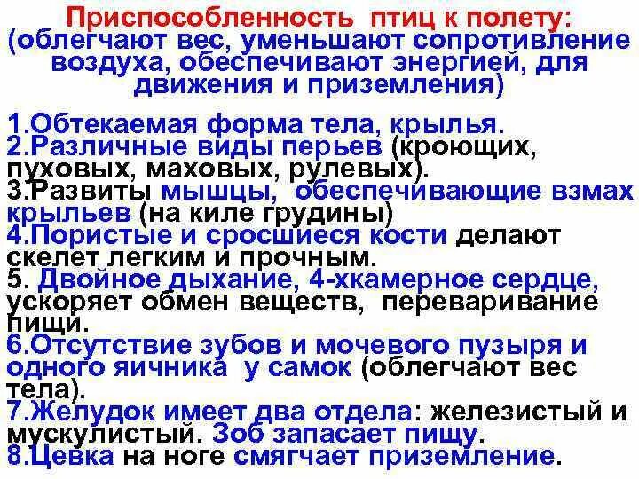 Приспособления птиц к полету. Преспособление птиц к полёту. Черты приспособления птиц. Приспособления птиц к полёте.