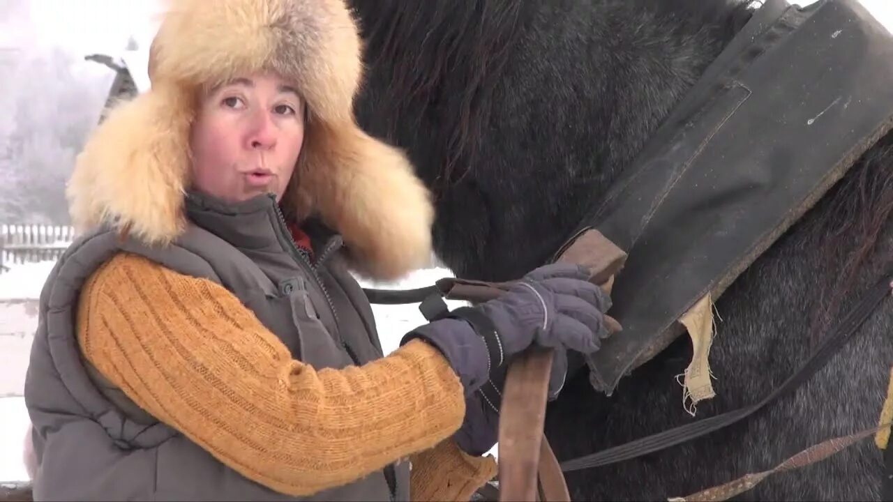 Гужи нахомут. Гужи для хомута. Матинян гуж. Хомутина для лошадей.