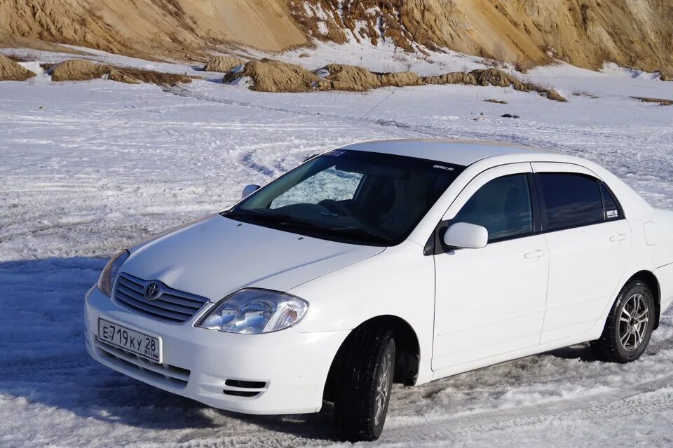 Дром алтайский край продажа автомобилей форд. Тойота Королла 2004. Toyota Corolla 2004 года. Тойота Королла 2004 года. Toyota Corolla 120.