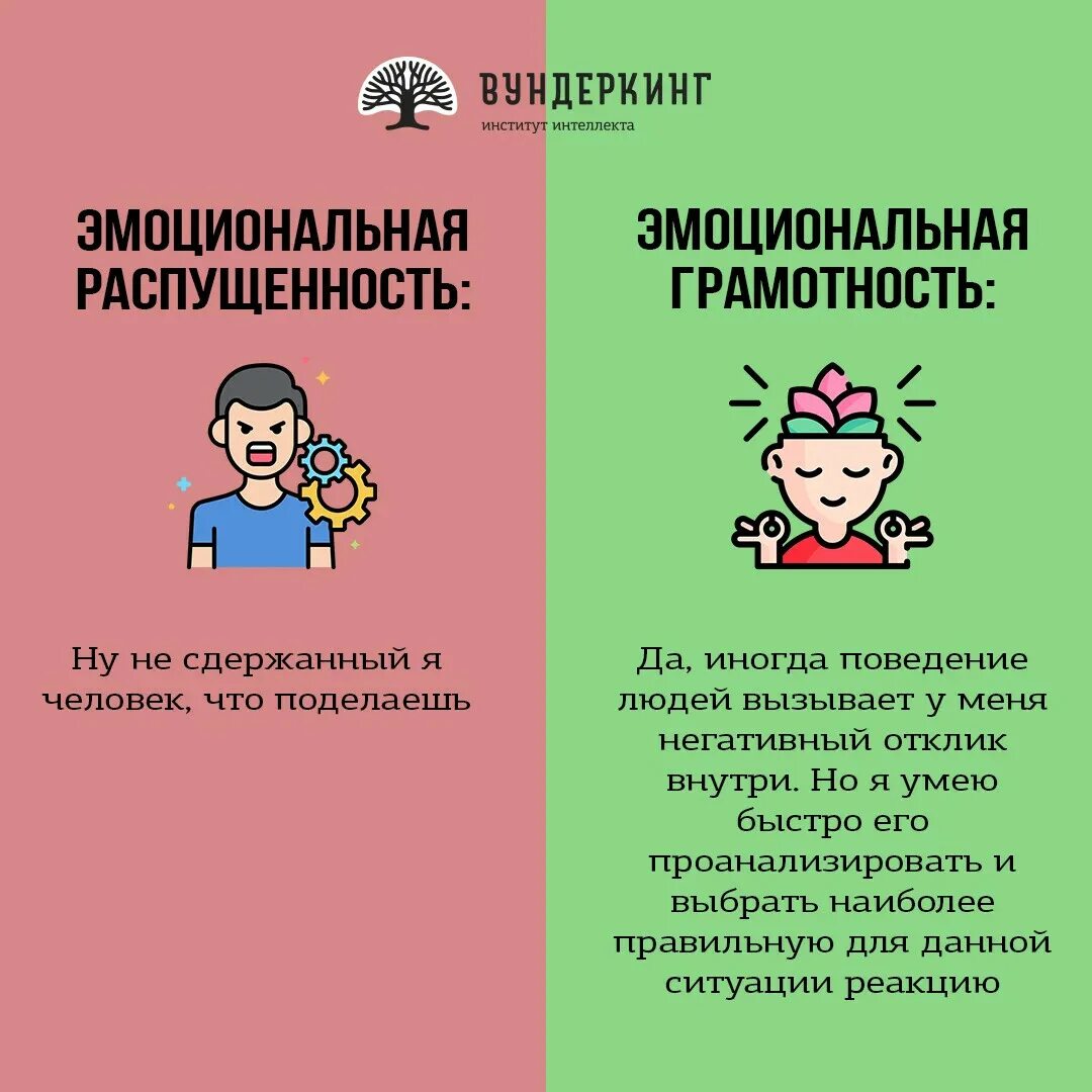 Вундеркинг. Эмоциональная грамотность. Эмоциональная грамотность для детей. Эмоциональная грамотность: интеллект с сердцем. Картинки эмоц.грамотность.