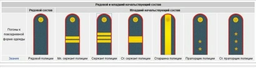 Звания в полиции россии по погонам. 2 Звезды на погонах звание полиции МВД России. 3 Звезды на погонах звание полиции МВД. Погоны младшего начальствующего состава МВД. Звания младший сержант МВД.