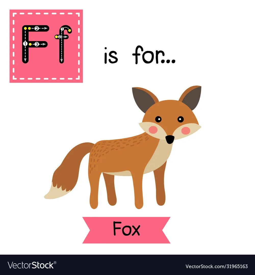 Fox fox фф. Fox карточка. Лиса на английском. Лисы-буквы английские. Fox Flashcard.